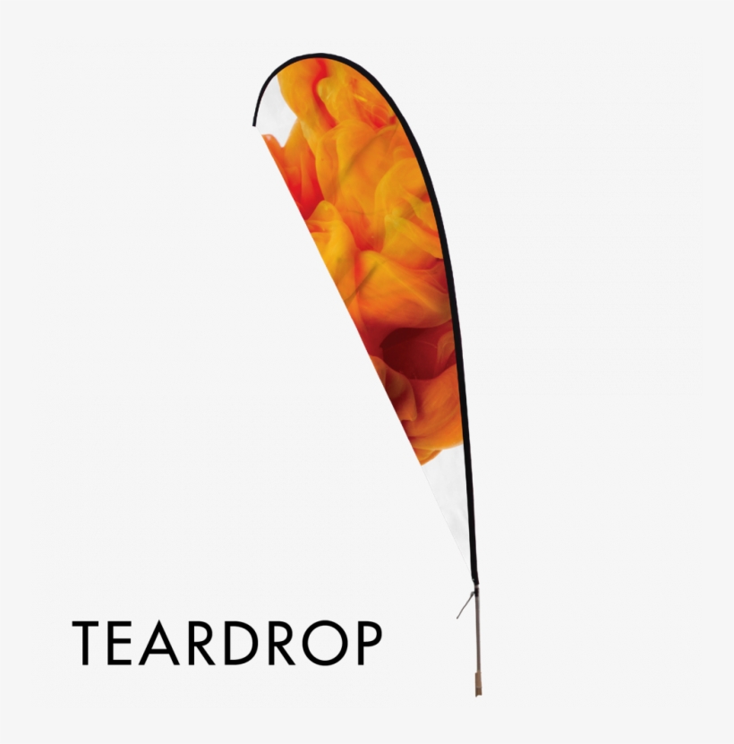 10 Years Younger, transparent png