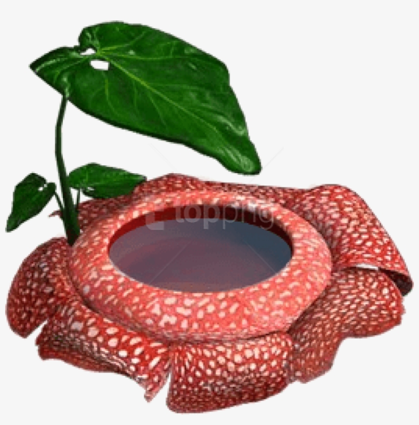 Free Png Bathtub Png - Inflatable, transparent png