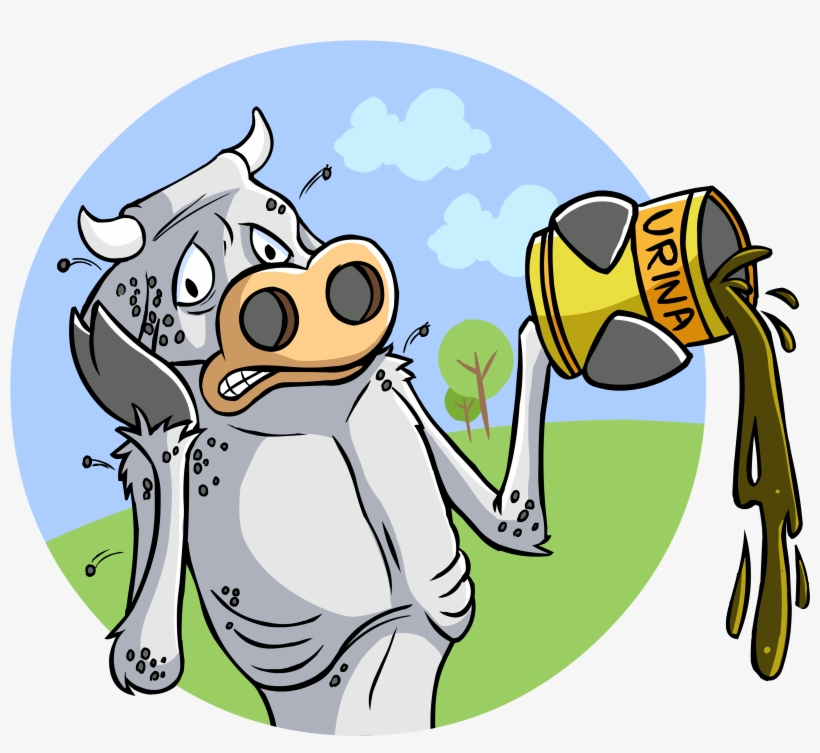 Drawn Cow Sick Cow - Agriculture, transparent png