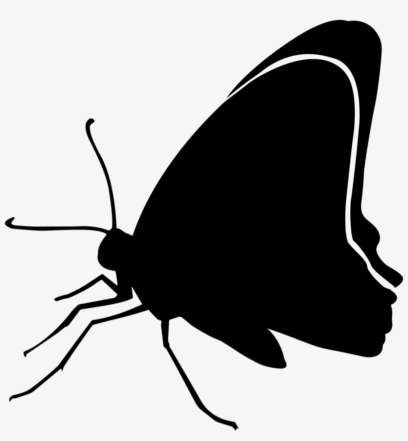 Butterfly Silhouette - Graphics - Butterfly, transparent png