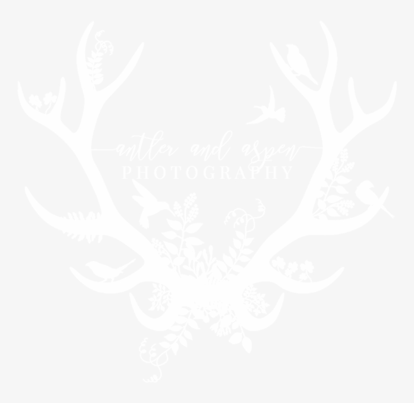 Antler White, transparent png