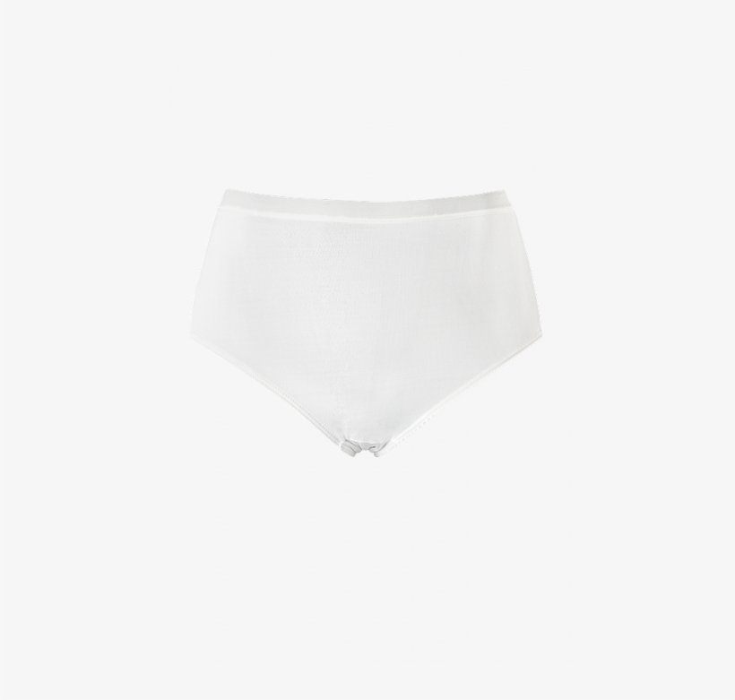 Full Fit Brief - Underpants, transparent png