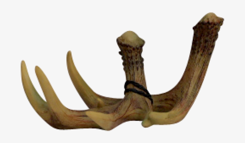 More Views - Driftwood, transparent png