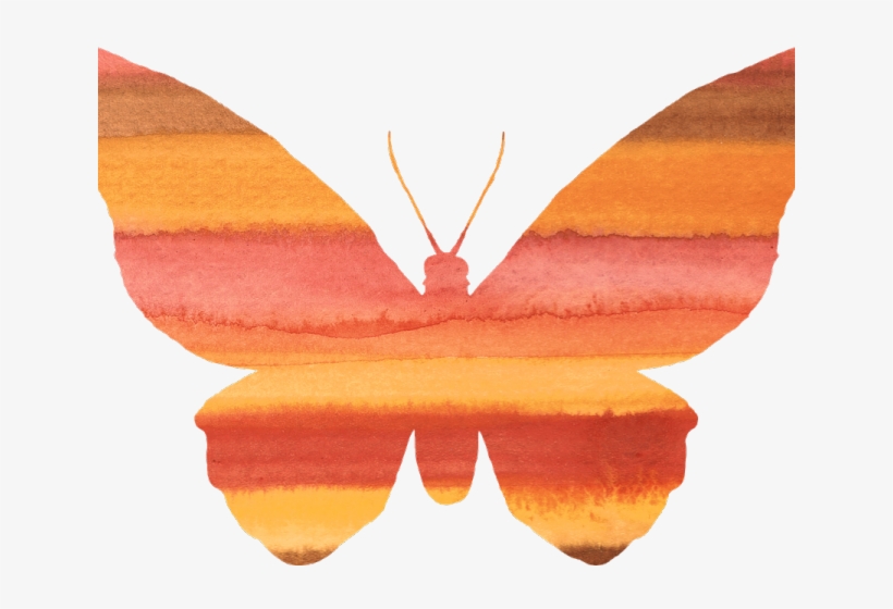 Butterfly Cliparts Silhouette - Clip Art, transparent png