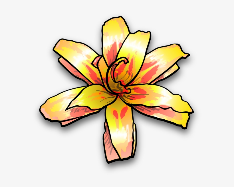 Lily Png, transparent png