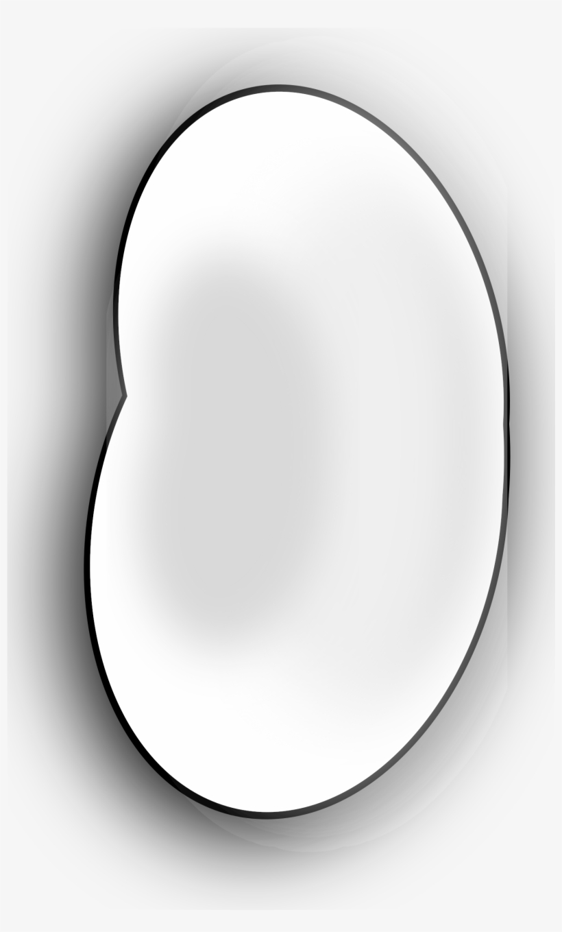 This Free Icons Png Design Of A Bean, transparent png