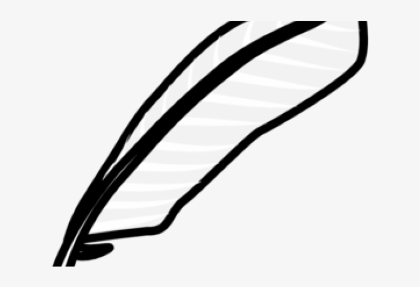 Feather Clipart Vector, transparent png