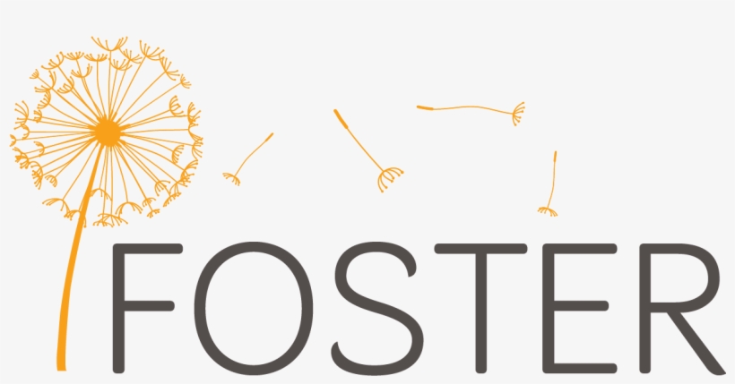10 Apr - Foster Care, transparent png