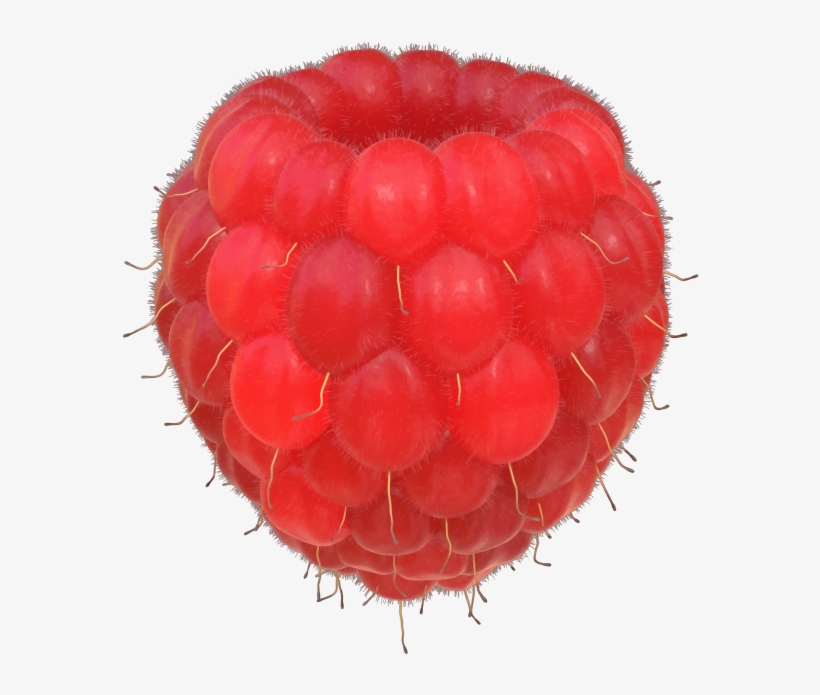 Raspberries - Wine Raspberry, transparent png