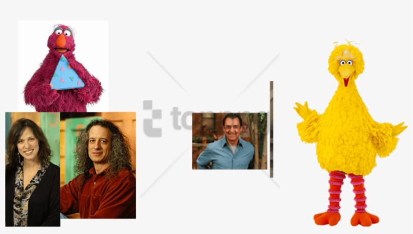 Free Png Big Bird Is Back Png Image With Transparent - Big Bird Is Back, transparent png