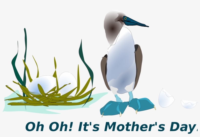 This Free Icons Png Design Of Sea Bird, transparent png