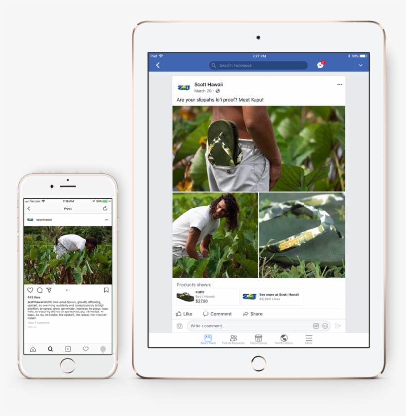 Point Hawaiiscott Taro Social Media - Tablet Computer, transparent png