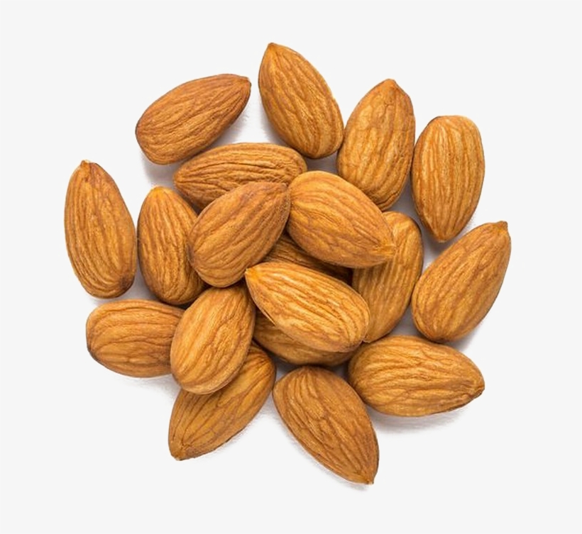 Nut Png Image Background - Nut, transparent png