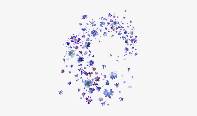 Some Flowers And Flowing Flowers Png - Adesivos Para O Picsart, transparent png