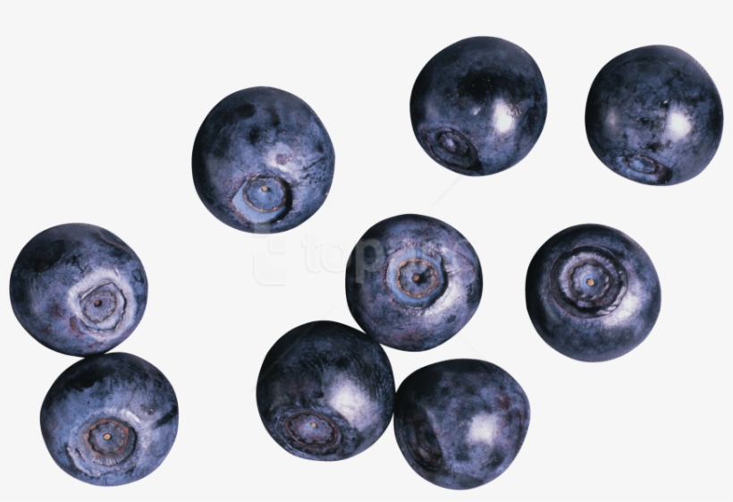 Free Png Blueberries Png Images Transparent - Ягоды Пнг, transparent png