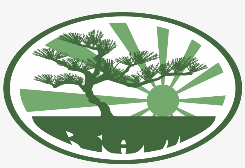 Reviveallmusic - Com - Azad Jammu And Kashmir Logo, transparent png