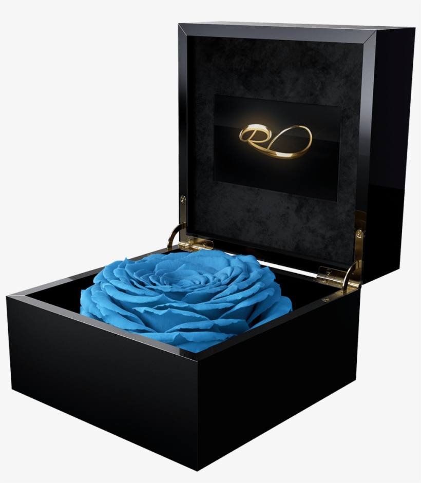Luxury Lcd Display Flower Box Magna With A Xl Longlife - Rose, transparent png