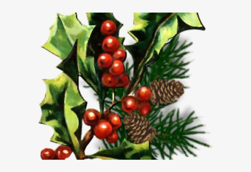 Christmas Holly Graphics - Christmas Tree, transparent png
