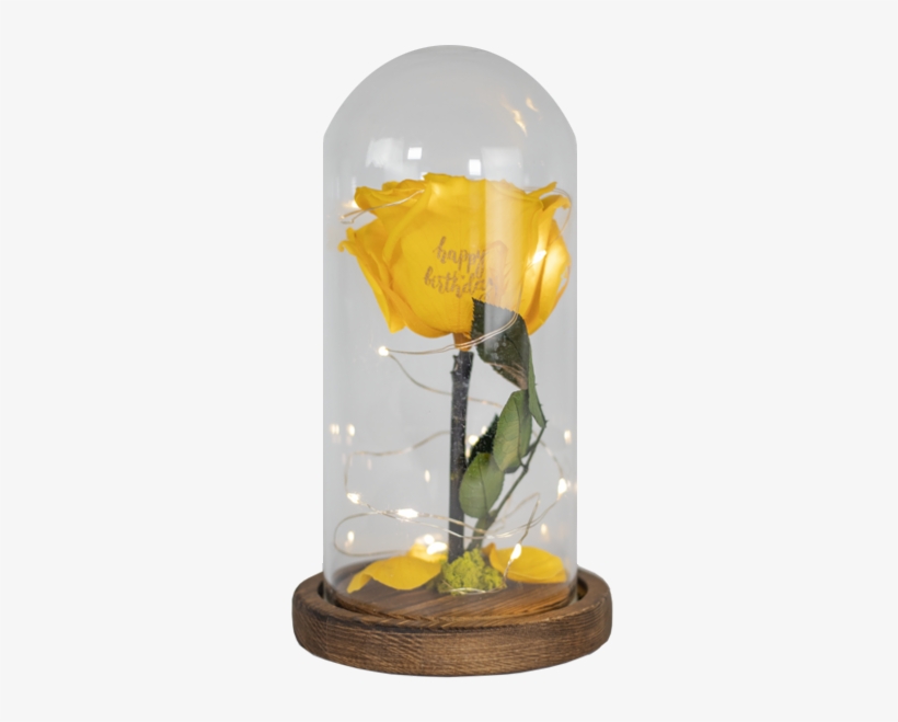 Preserved Rose W/led Lights - Rose, transparent png
