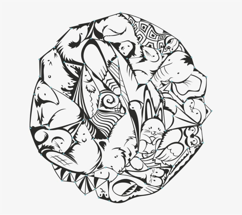 Sneaky Raccoon - Drawing, transparent png