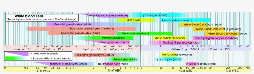 Reference Ranges For Blood Tests - Difference Between Leukocytosis And Leukaemia, transparent png