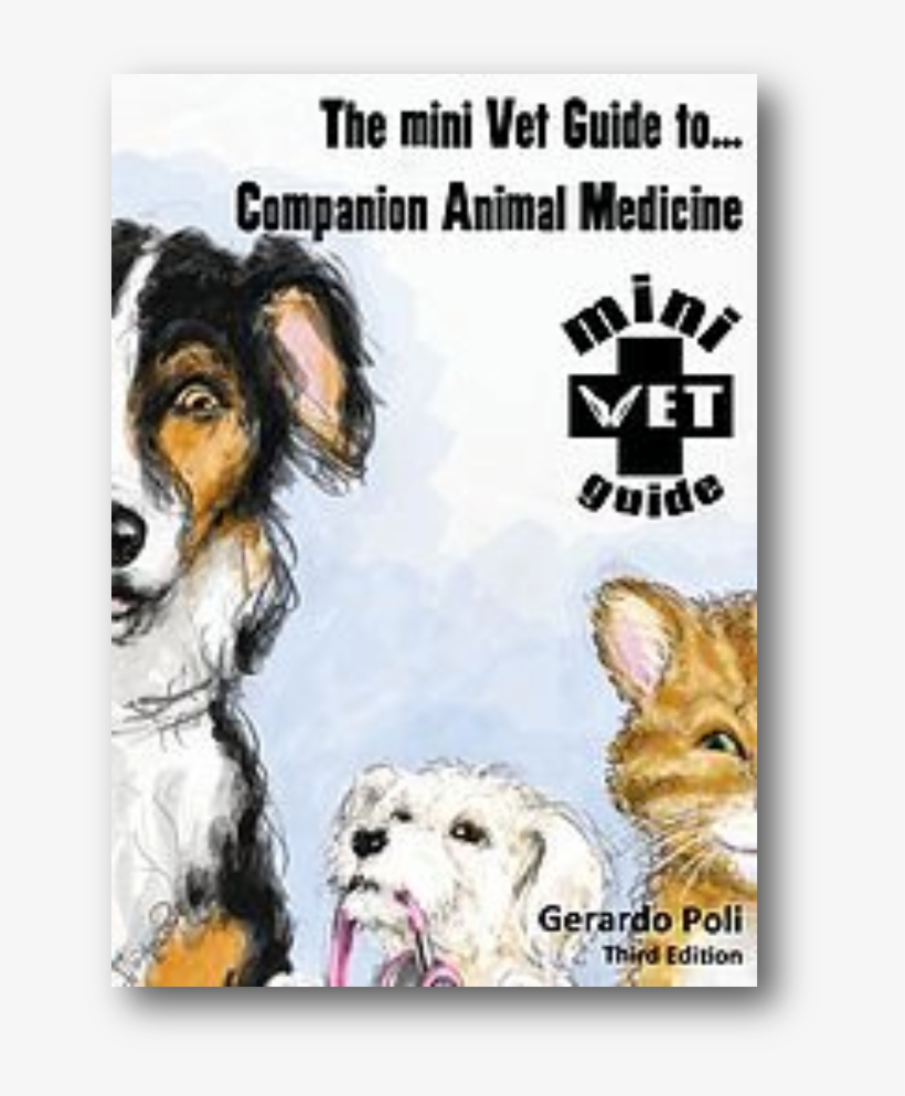 Find Out More About The Minivet Guide To Companion, transparent png