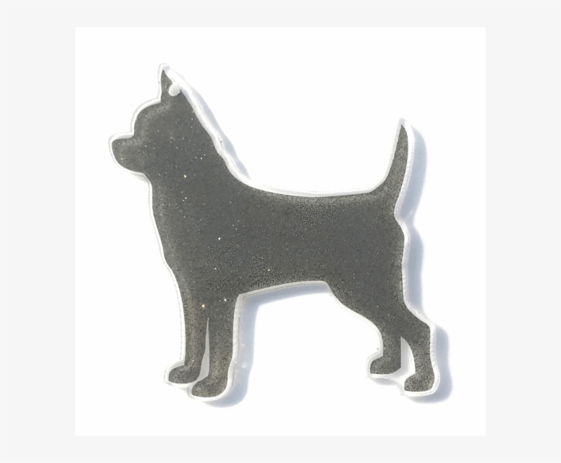 Schipperke, transparent png