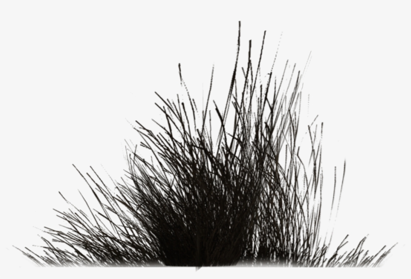 Go To Image - Grass, transparent png