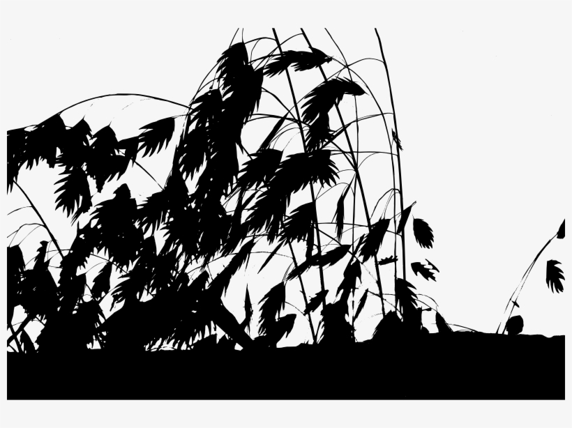 Medium Image - Silhouette, transparent png
