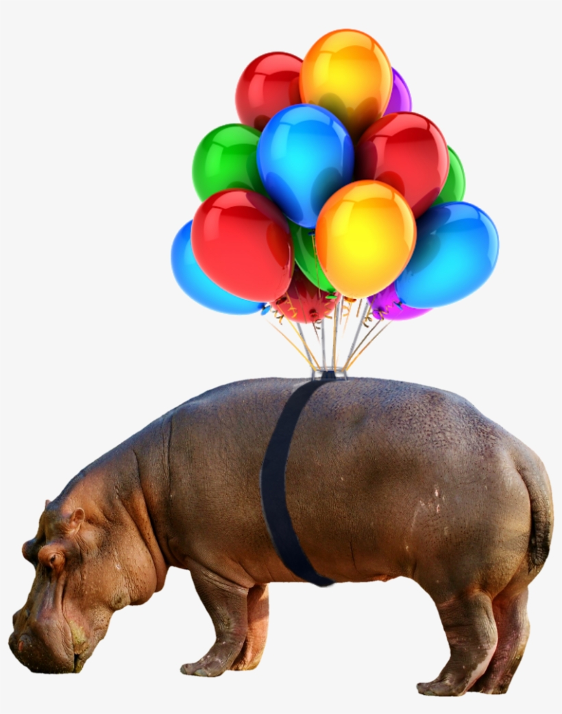 #hippo #nobackground #png #balloon - Balloons No Background Png, transparent png