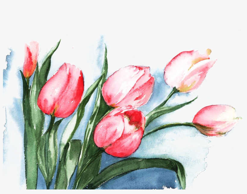 Flowers Watercolor Painting Drawing Illustration - Tulips Watercolor Painting, transparent png
