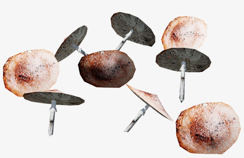 File - Danmagicmushroombox - Doughnut, transparent png