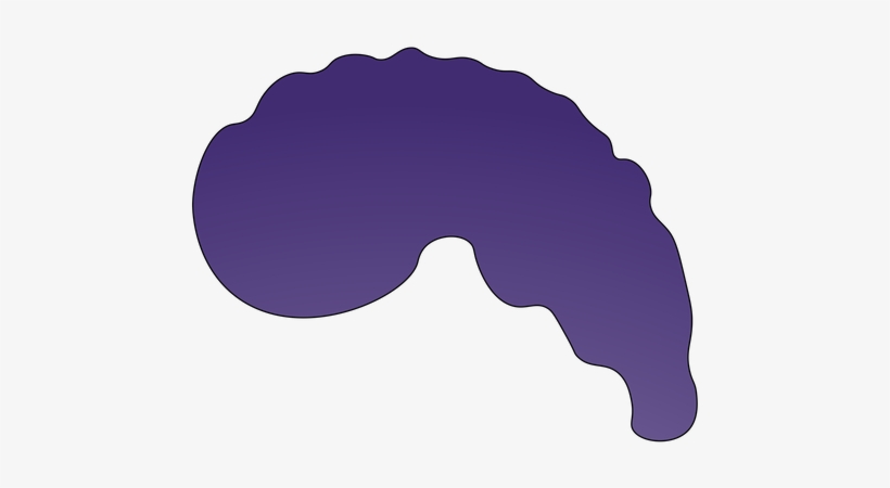 B1, transparent png
