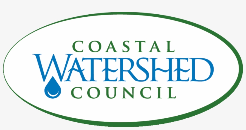 Activate The River Ride With Patagonia - Nyu Stern, transparent png