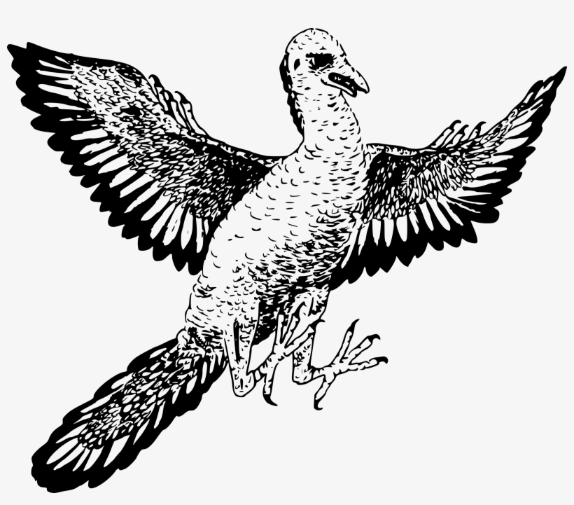 Picture Transparent Download Archaeopteryx Big Image - Archaeopteryx Clipart, transparent png