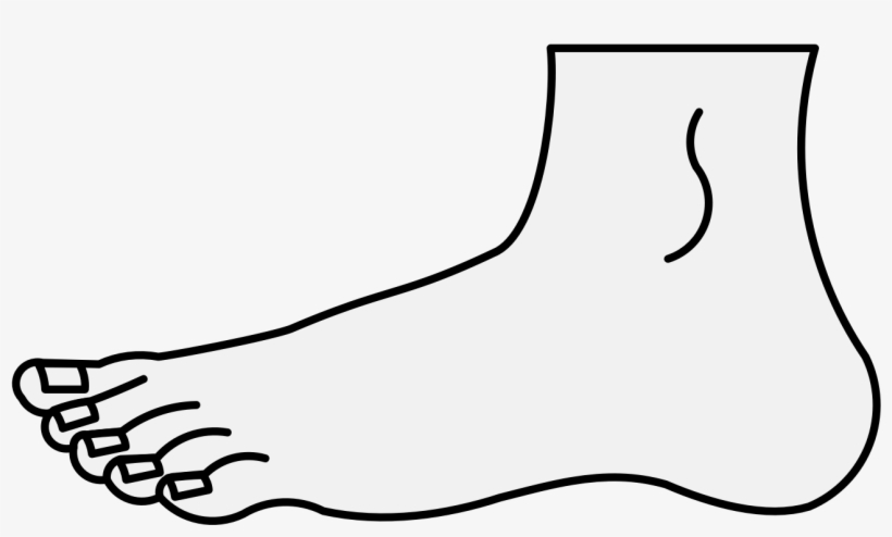Details, Png, transparent png