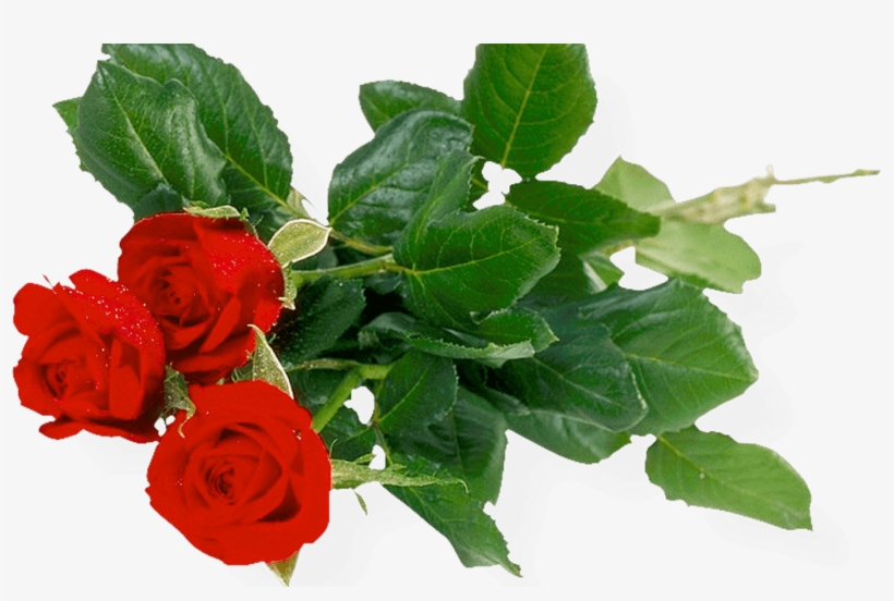 Download Rose Bunch Transparent Background Hq Png Image - Transparent Background Flower Bunch Hd Png, transparent png