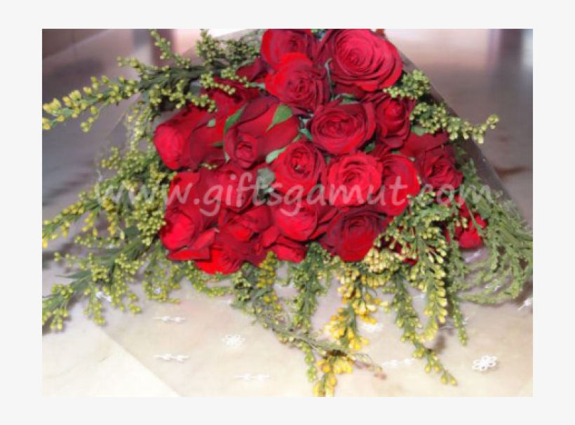 Garden Roses, transparent png