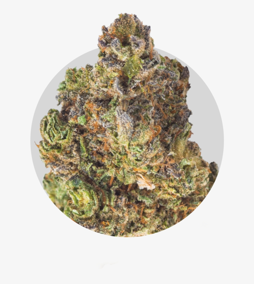 Strains - Yellow Fir, transparent png