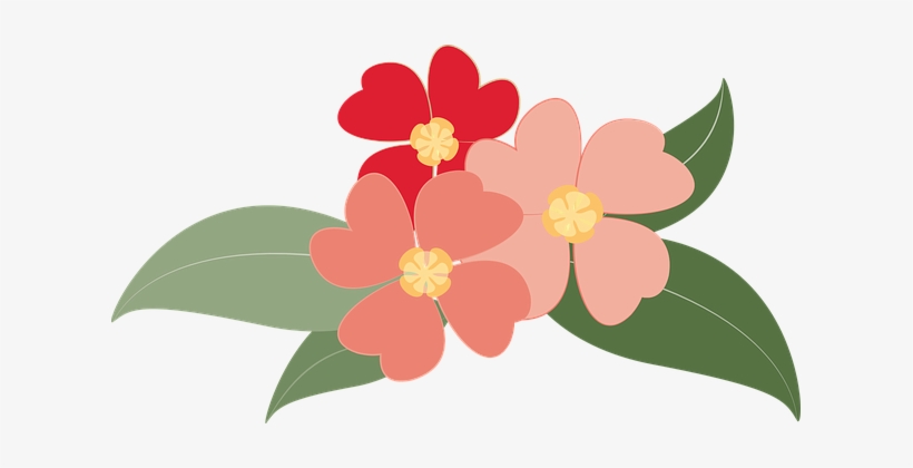 Flowers Plants Red Botany Nature Plants Fl - Thank You For The Gift Of Flowers Card, transparent png