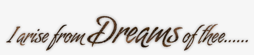 Love Word Art Png - Animal Charity, transparent png