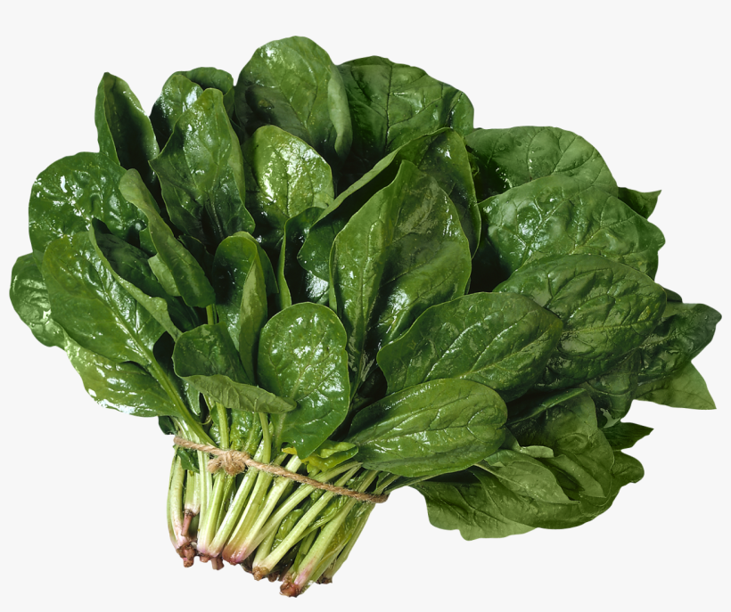 Todas Las Hortalizas Y Verduras De Hojas Verdes Deberían - Sous Vide Bags & Sous Vide Pump Set, Includes-12, transparent png