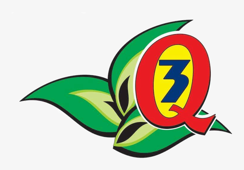 Logo 3q New - Fruit, transparent png