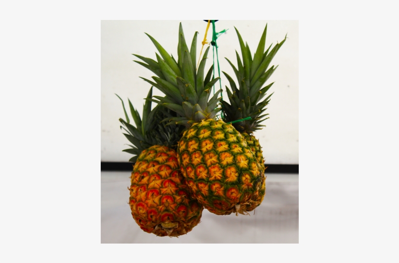 Frutas Y Verduras Jairo - Fruit, transparent png