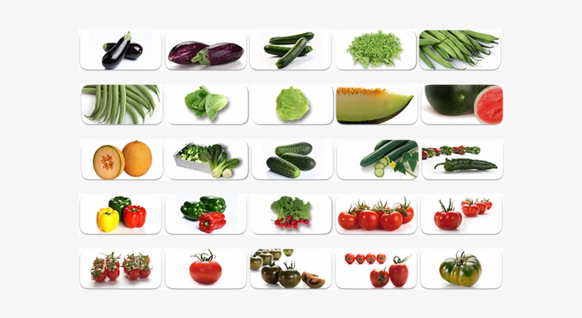 Empresa Hortofruticola Ubicada En El Polígono Industrial - Hortalizas Y Sus Nombres, transparent png