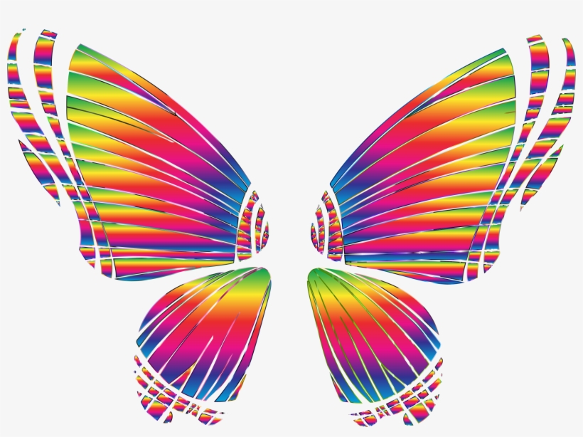 Rgb Butterfly Silhouette 10 8 No Background By @gdj,, transparent png