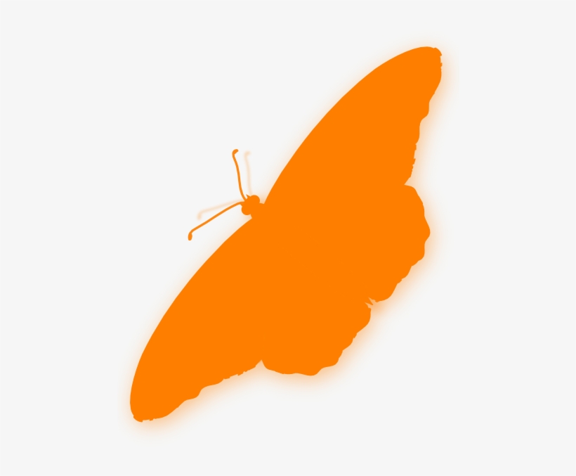 Butterfly Silhouette Orange, transparent png
