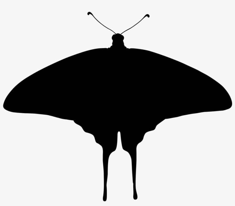 Butterfly Silhouette - Insect, transparent png