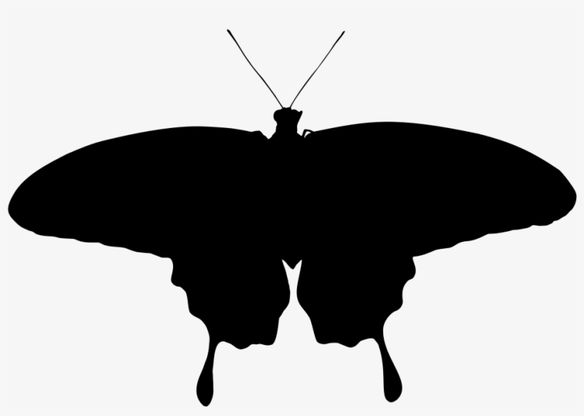 Butterfly Silhouette - Lepidoptera, transparent png