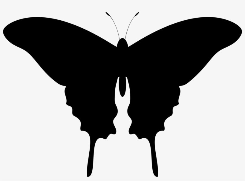 Butterfly Silhouette Drawing Lepidoptera - Don't Date A Psycho, transparent png